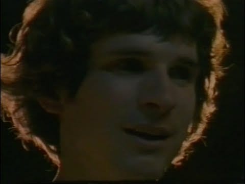 The Flashing Lights — The Flashing Lights - Elevature OFFICIAL VIDEO