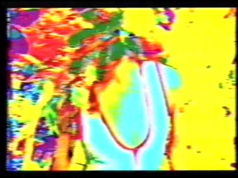 The Garden Of Eden — Evil Acid Baron Show