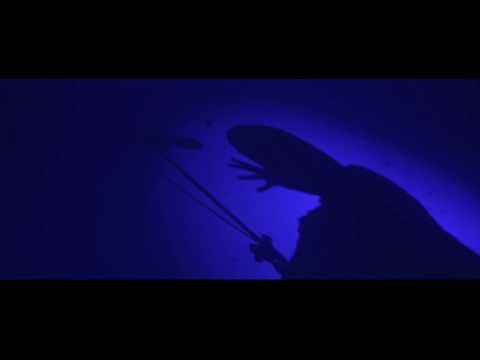Hinol — Hinol Polska Wersja - Fatum prod.PSR Scratch DJ Lem