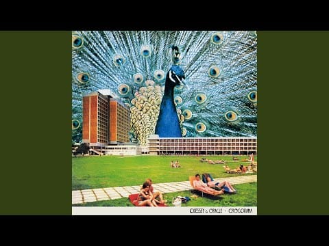 Odessey & Oracle — Chercher maman