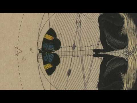 V.I.C.A.R.I. — V.i.c.a.r.i - Slipthru