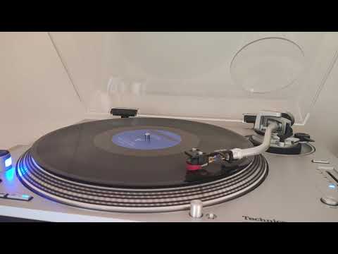 The Bodines — The Bodines – Heard It All (12" Single) - Vinyl