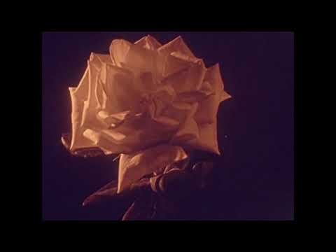 Swesor Bhrater — Swesor Bhrater // Nature (official video)