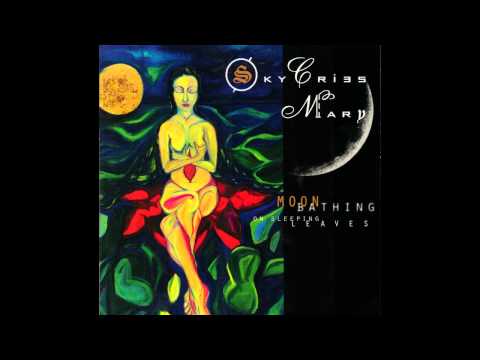 Sky Cries Mary — sky cries mary - breathe in