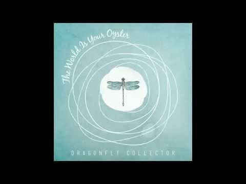 Dragonfly Collector — Timothy, My Own Timothy - Dragonfly Collector [Official Audio]