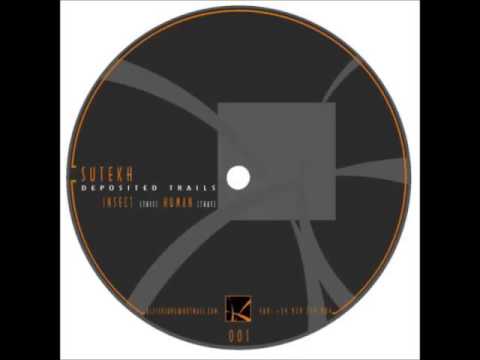 Sutekh — Sutekh - Insect