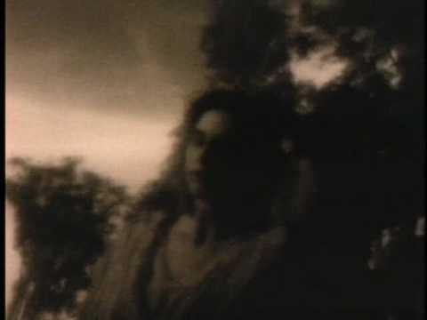 Cindy Lee Berryhill — CINDY LEE BERRYHILL / INDIRECTLY YOURS -Directed by Rocky Schenck