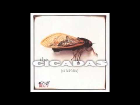 Cicada — Rollerball