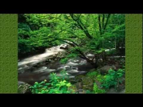 Sonic Dream Collective — Sonic Dream Collective - Take me back