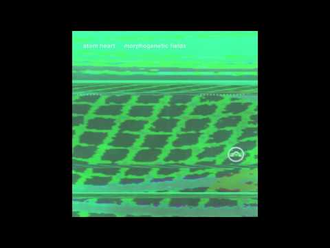 Atom Heart — Atom Heart - Motherboard (Morphogenetic Fields)