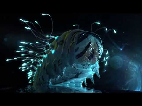 Toni Childs — Hoping For The Butterflies