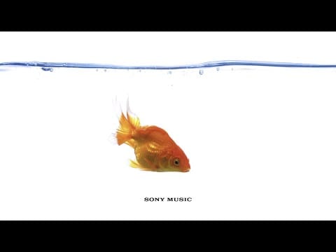 Vampire Weekend — Big Blue