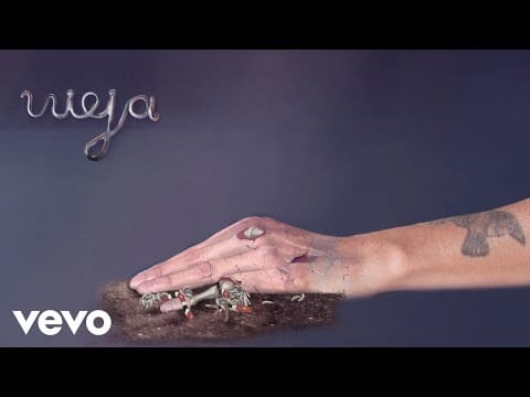 Aterciopelados — Aterciopelados - Vieja (Audio)