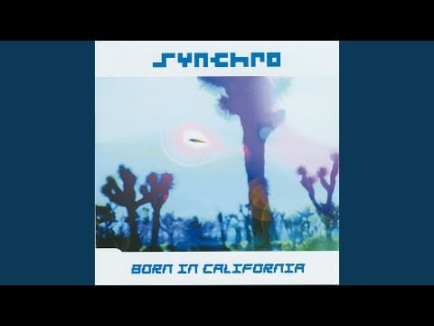 Synchro — 2 Kool 4 Skool
