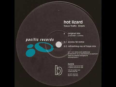 Hot Lizard — Hot Lizard - Tokyo Traffic (Access 58 Remix)