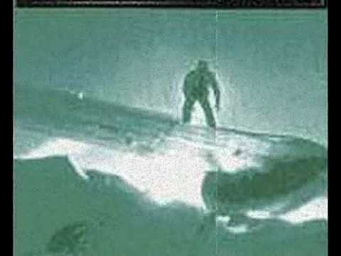 Forma Tadre — Forma Tadre - Celebrate The Cult