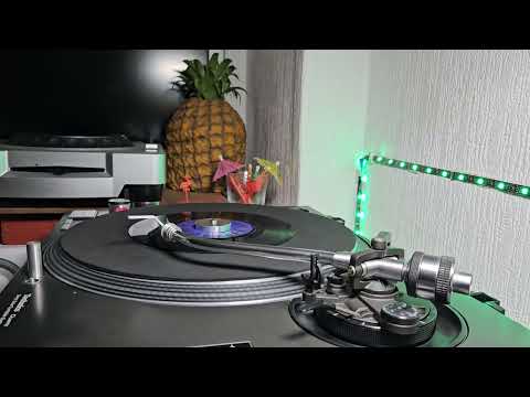 The Fortunes — The Fortunes - Things I Should Have Known - Decca - 1965