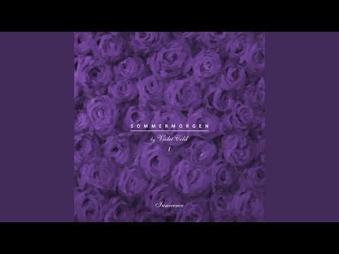 Violet Cold — Nur Die sonne war Zeuge