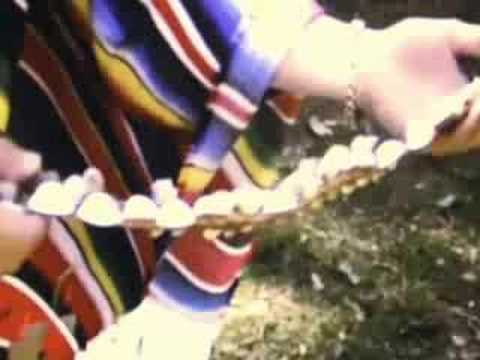 Findlay Brown — Findlay Brown - All That I Have