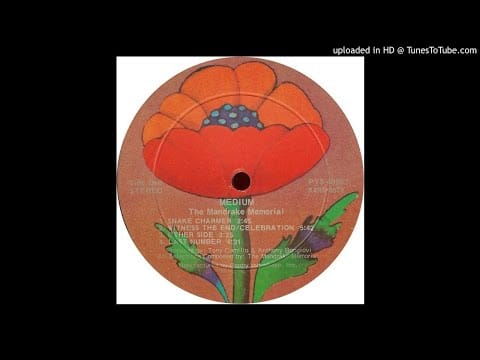 The Mandrake Memorial — Mandrake Memorial - Last Number