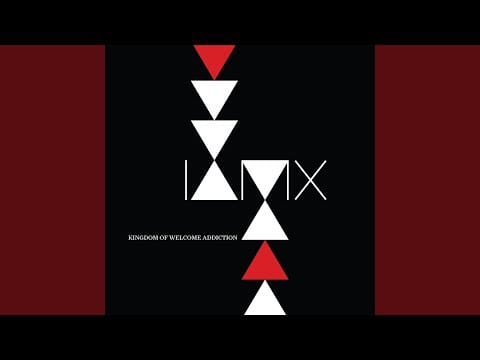 IAMX — I Am Terrified