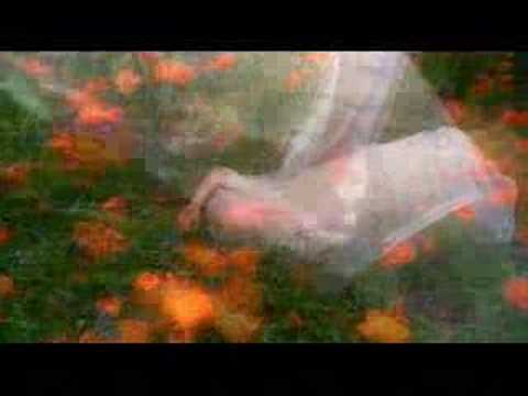 Anna Maria Jopek — Anna Maria Jopek - Szepty i łzy (Official Video)