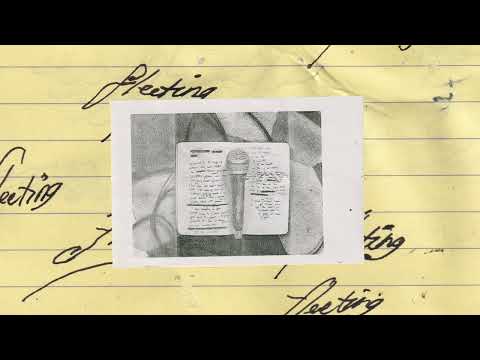 Daily Toll — Daily Toll - 'Fleeting' (Official Audio)