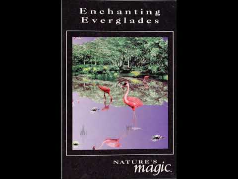 Byron M. Davis — Byron M. Davis – Enchanting Everglades (Full CS)