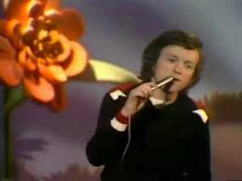 Frank Farian — Frank Farian - Spring über deinen Schatten Tommy