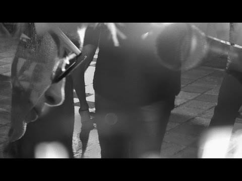The Trash Can Sinatras — Trashcan Sinatras. All Night (Official Music Video).