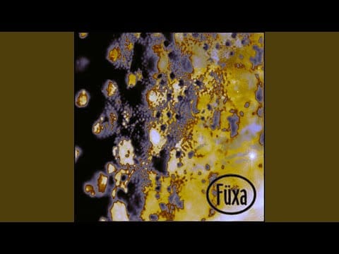 Füxa — Connective Envelope