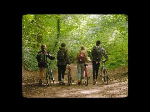 Vistas — Teenage Blues