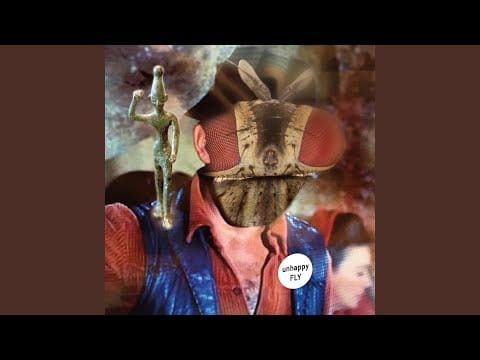 Unhappy Fly — Boneyard