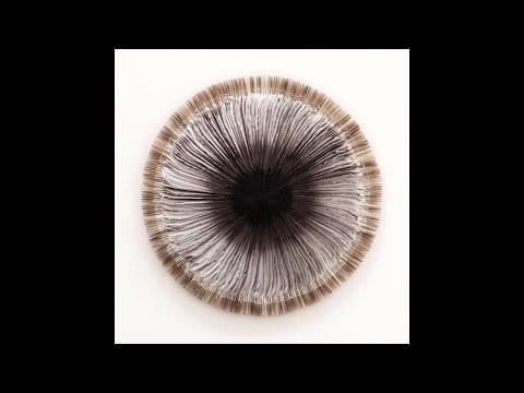 Eskmo — Eskmo - Tamara