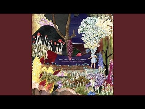 Psychedelic Porn Crumpets — Fields, Woods, Time