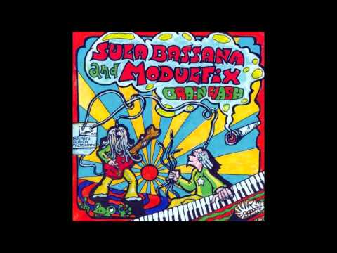 Sula Bassana — Sula Bassana & Modulfix - Brain Wash