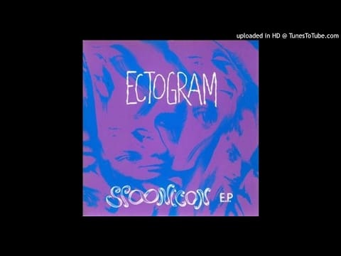 Ectogram — Ectogram - Adennydd A Sylltiau