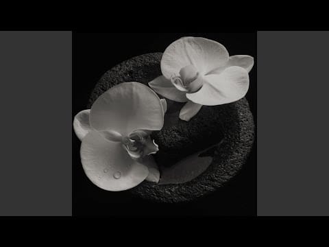 Mike Patton — Yard Bull