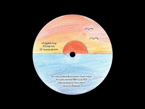 Shawn Ward — Shawn Ward - Lazy Biz [DENTRO001]