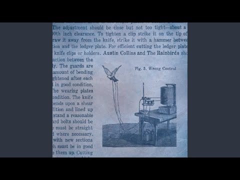 Austin Collins & The Rainbirds — Care