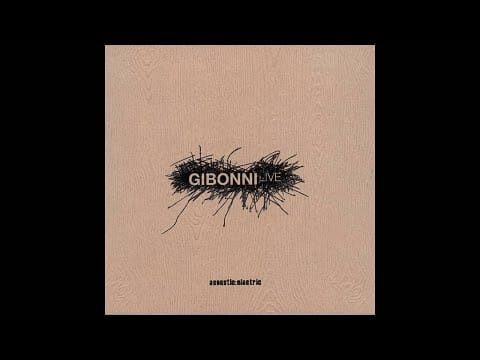 Zlatan Stipišić Gibonni — Gibonni - Libar - Live
