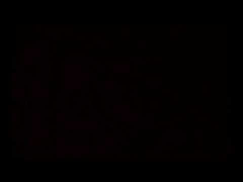 Q Project — Q Project - Reptile TV