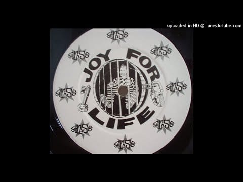 Joy For Life — Joy For Life -  The Prime Mover (Grass Island Mix) 1994