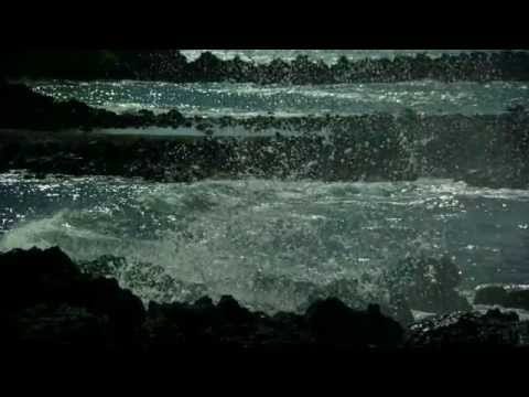The Waterboys — The Waterboys - This Is The Sea