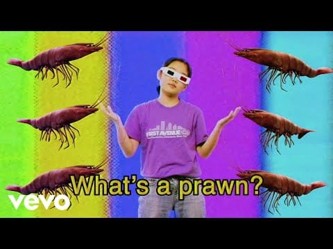 Superorganism — The Prawn Song