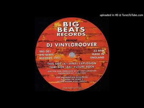 Vinylgroover — Vinylgroover - Future Rock