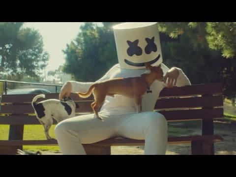 Wrabel — Marshmello - Ritual (feat. Wrabel) [Official Music Video]