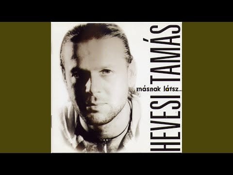 Hevesi Tamás — Zötyög az élet!