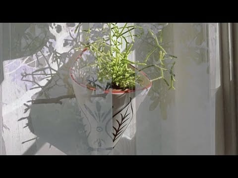Linda Smith — Linda Smith // I So Liked Spring (1996 Version) (Official Video)