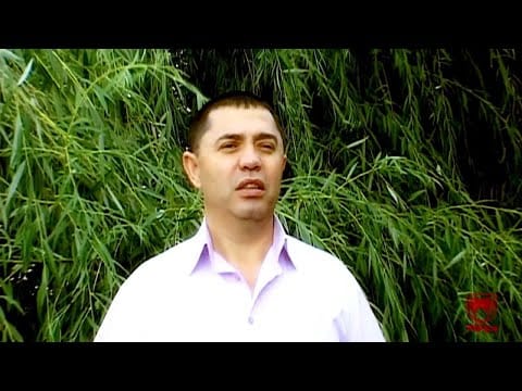 Sorina — Nicolae Guta - Nu vreau aur, nici palate